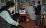 acupuntura cachorro china