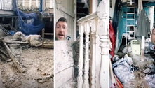 Casa com 'parede de cocô de pássaros' está à venda no Reino Unido: 'É a pior da história' 