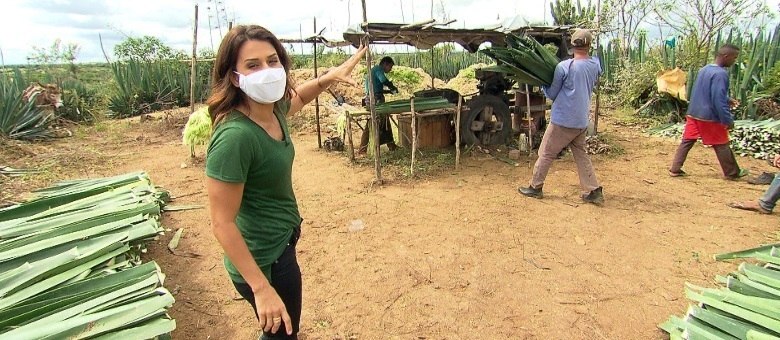 Adriana Araújo mostra o trabalho desumano nas lavouras de sisal no semiárido nordestino