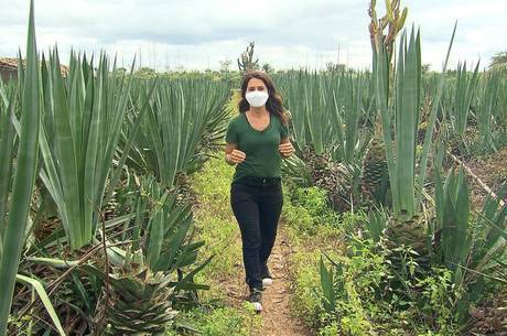 Adriana Araújo em meio a plantação de sisal 