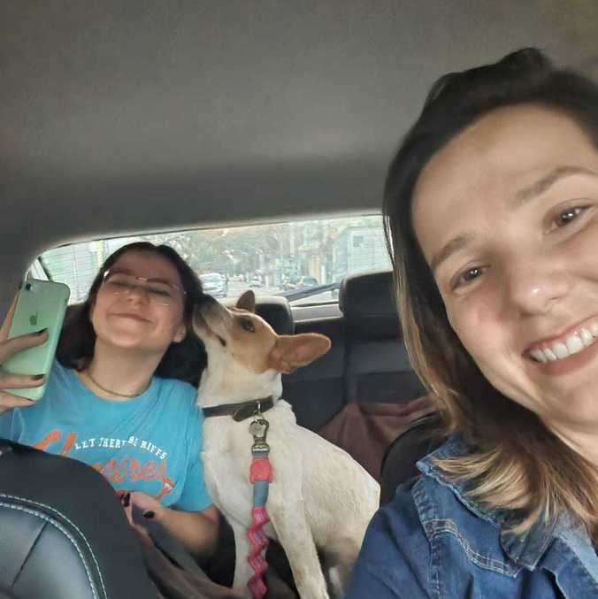 Adriana e Marília encontram o Toby pelas ruas e partem rumo a casa da tutora!