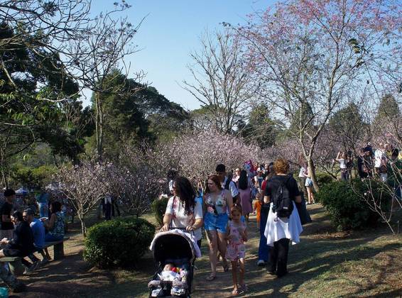 O Parque do Carmo é considerado o segundo maior da cidade de São Paulo, com 1,5 milhão de m². O símbolo do parque é a flor de cerejeira, que faz parte da cultura japonesa. Em agosto, ele costuma ser o palco do Festival das Cerejeiras, que atrai centenas de turistas.Endereço: avenida Afonso de Sampaio e Sousa, 951, ItaqueraFuncionamento: aberto diariamente, das 5h30 às 20h