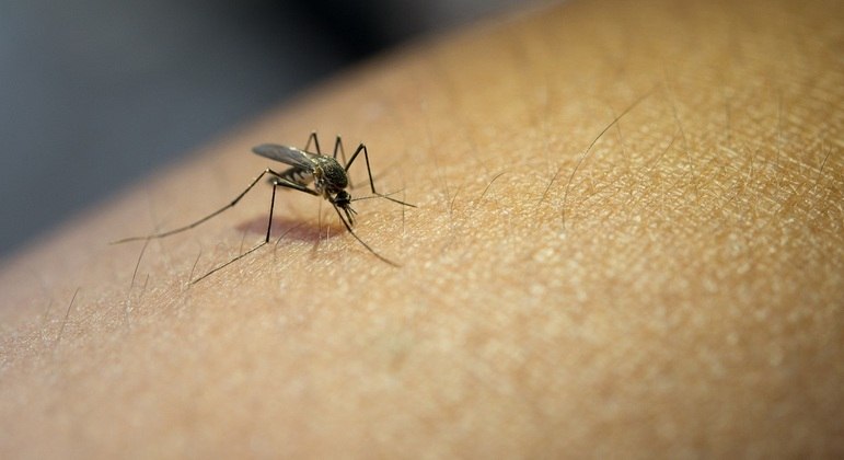 Acre enfrentou aumento de notificações de casos de dengue neste ano
