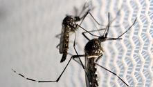 Casos de chikungunya crescem e os de dengue e zika caem em 2021 