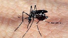 Epidemia de dengue supera a marca de 2 milhões de casos no Brasil, com 642 mortes confirmadas