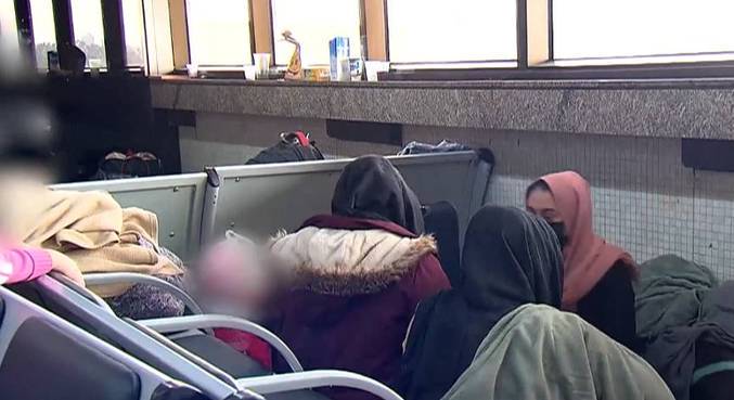 Cerca de 447 afegãos chegaram ao aeroporto desde janeiro