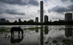 A horse wades through a waterlogged area in a public park after monsoon showers in Kolkata on July 30, 2021.
DIBYANGSHU SARKAR / AFP
