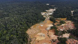 Brasil registra queda de 31% no desmatamento da floresta (Alan Chaves/AFP - 24.02.2023)