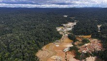 Desmatamento na Amazônia no 1º trimestre foi o segundo maior dos últimos sete anos 