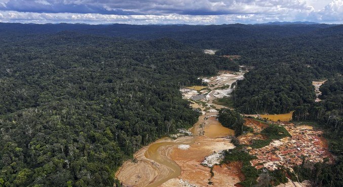 Floresta Amazônica teve 844,7 quilômetros quadrados desmatados no 1º trimestre