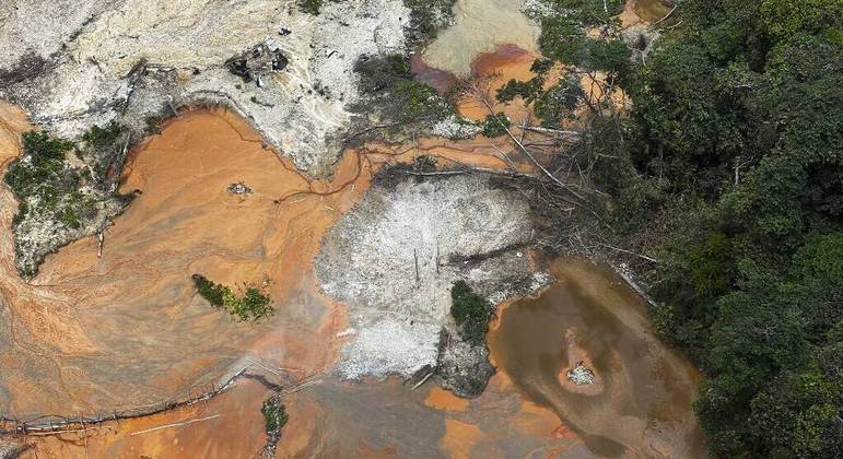 Alertas de desmatamento em fevereiro de 2023 cresceram 62%, ante o mesmo mês de 2021
