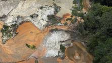 Lula precisa dar respostas sobe alta do desmatamento, dizem ambientalistas