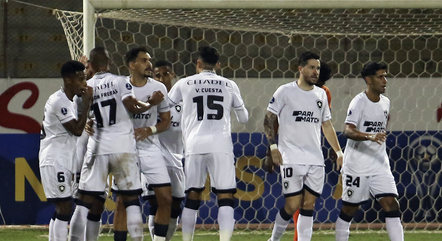 Jogadores do Fogão comemoram gol ainda no primeiro tempo
