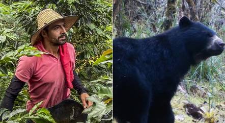 Cafeicultores e ursos-de-óculos passam a conviver em paz após anos de 'inimizade' na Colômbia