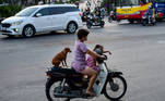 A woman ferries a girl and a dog on her motorcycle along a street in Hanoi on July 14, 2021.
Nhac NGUYEN / AFP
