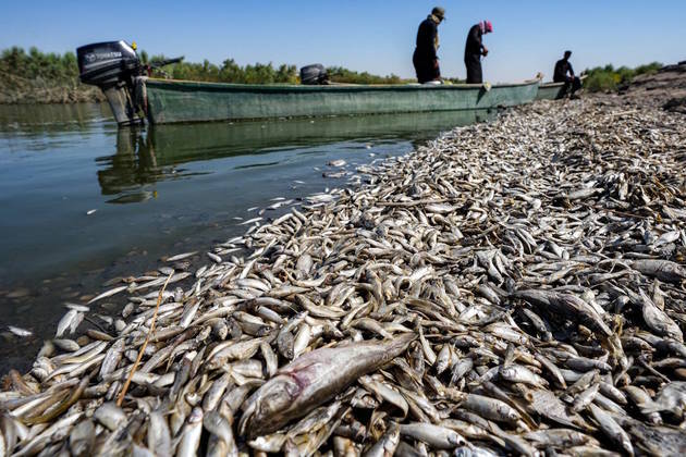 Ondas de calor no Hemisfério Norte: o verão boreal (dessa região) de 2023 foi marcado por recordes de temperatura. A Índia (foto acima) registrou o mês de agosto mais quente e seco desde o início da medição, há mais de um século