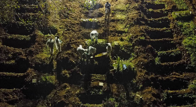 Março foi considerado o mês mais letal da pandemia no Brasil 