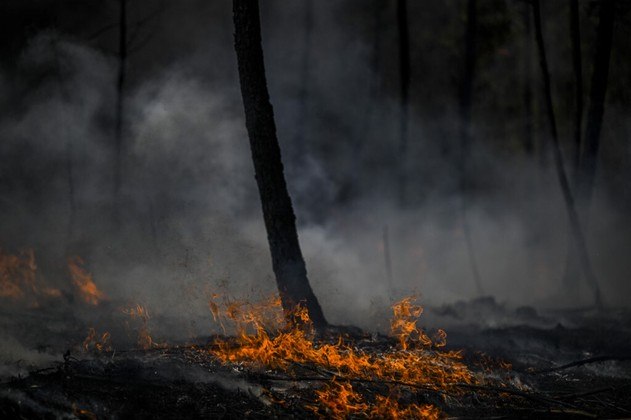 Outro foco mobilizou neste domingo mais de 400 bombeiros em Odemira, perto da costa sudoeste do país. 