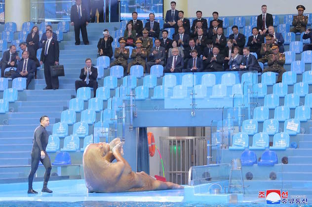 A excursão de Kim contou até com uma ida ao Aquário de Vladivostok, onde acompanhou um show de morsa adestrada