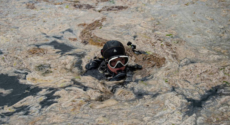 Poluição, aquecimento global e falta de movimento do mar ajudam na formação do muco 