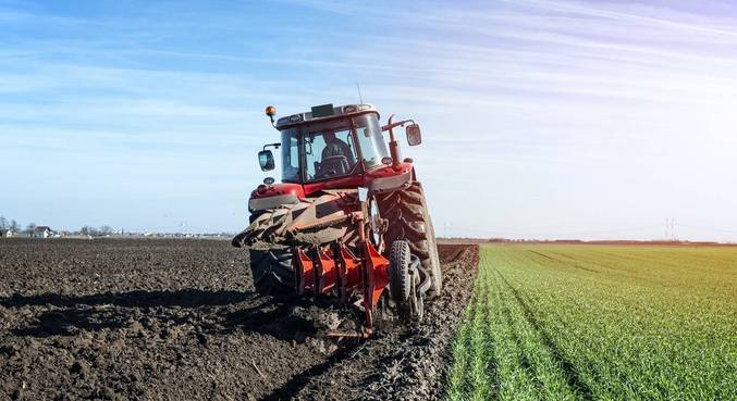 Setor agropecuário teve crescimento de 4,2% em 2020