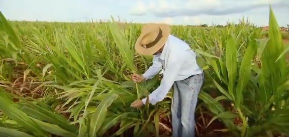 Record News estreia novo telejornal voltado ao agronegócio