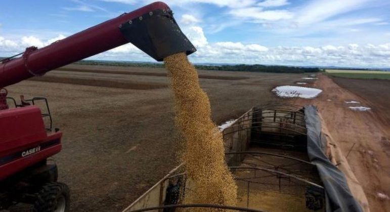 Colheita de soja em fazenda no interior do Brasil