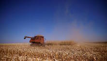 Brasil amplia liderança no ranking de maiores exportadores agrícolas