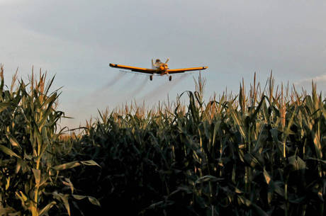 Efeitos de agrotÃ³xicos incluem dor de cabeÃ§a e vÃ´mito