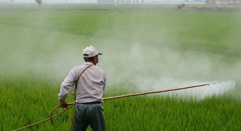 Governo federal já liberou, desde 2000, quase 5.000 agrotóxicos no país