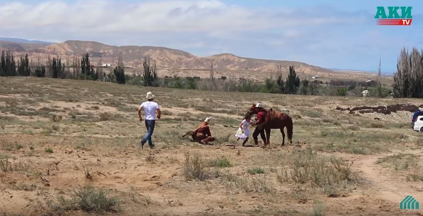 Funcionário de zoológico é mordido por tigre e morre de ataque cardíaco  horas depois - Hora 7 - R7 Hora 7