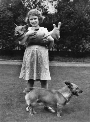 Ainda menina, aos 10 anos, quando era princesa, Elizabeth já se divertia e posava para fotos com cachorros nos gramados dos palácios. 