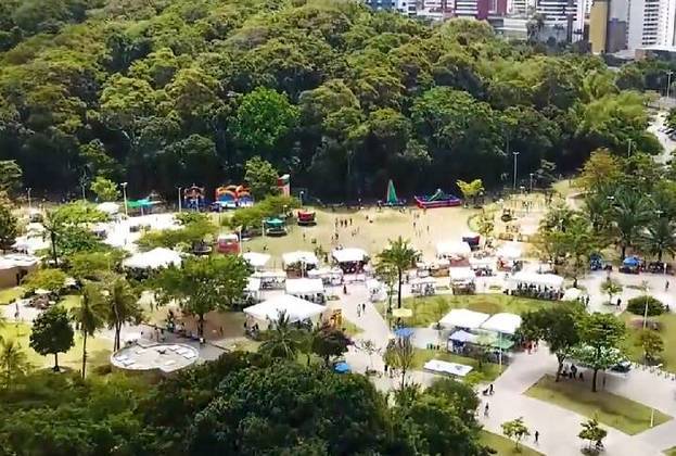 Além das praias, Salvador também tem uma variedade de outros parques e áreas verdes. O Parque da Cidade, por exemplo, localizado no alto de uma colina, oferece vistas panorâmicas da cidade. 