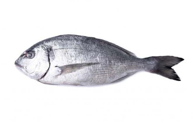 Além do alto teor de gordura, a carne do bluefin tem mais acidez que atuns comuns.