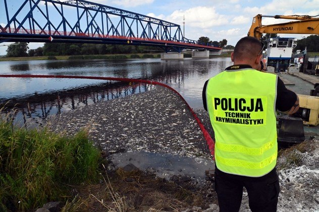 A alga em questão, também conhecida como 