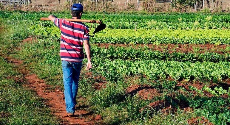 Homem trabalhando em horta 