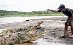 A ideia inicial dele era fotografar crocodilos com drones, uma vez que o local é famoso pela presença de répteis dos grandes. Mas, pesquisas na internet revelaram a existência de Guido e sua estranha capacidade de alimentar os animais. E aí surgiu uma nova estrelaNÃO VÁ EMBORA: Turista se livra de ataque de urso assassino com golpes de canivete