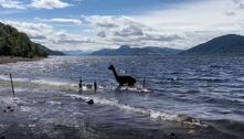 Não foi desta vez! Foto recente do monstro do lago Ness na verdade era alpaca fugitiva