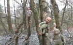 A floresta de Cannock Chase, em Staffordshire, continha diversas bonecas pintadas e dispostas em círculos