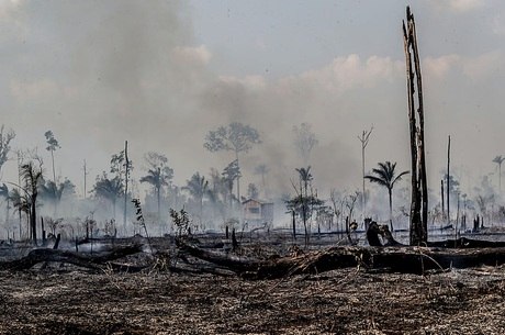 Ãrea queimada em Santo AntÃ´nio do Matupi, no AM