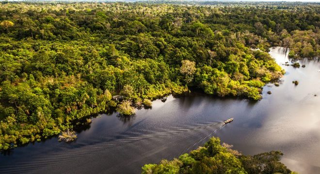 Amazonas: Entenda sua importância para o Brasil e para o Mundo 