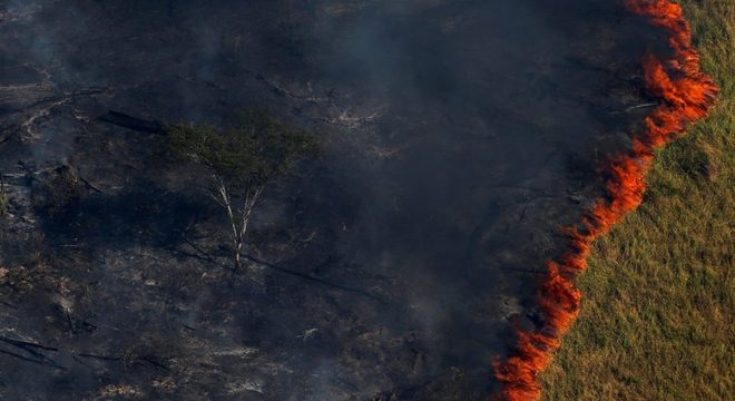 Amazonas: Entenda sua importância para o Brasil e para o Mundo 