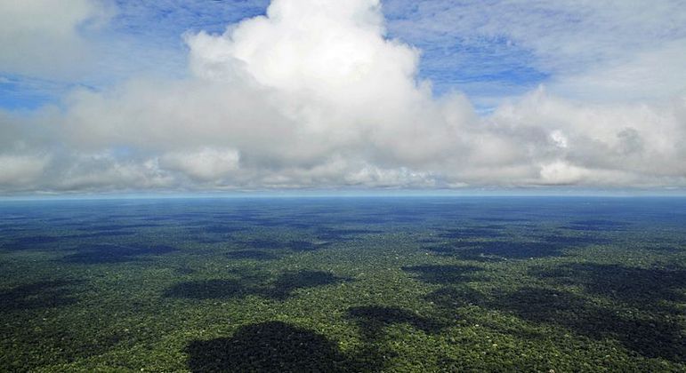 Ecossistema tem 3,7 milhões de quilômetros quadrados