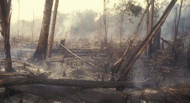 Redução no desmatamento, como este na Amazônia, é uma das medidas urgentes indicadas pelos cientistas 