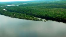 Amazônia Legal ocupa quase 60% do território brasileiro, mostra IBGE