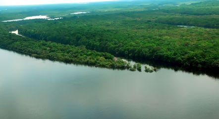 Amazônia Legal equivale a 58,9% do território nacional