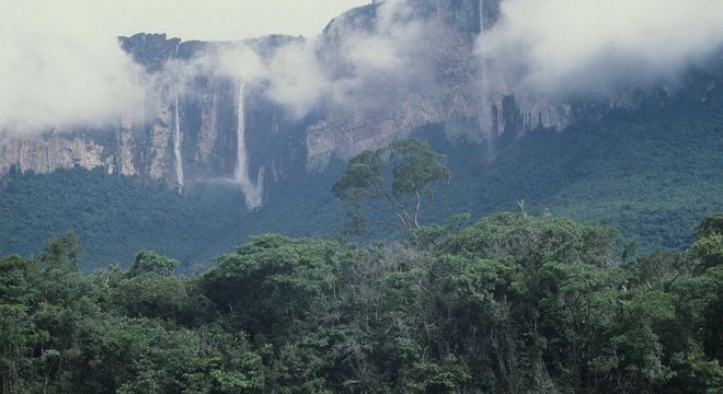 Tecnologia a laser do Inpe ajudou os pesquisadores a identificar a área onde estão as árvores mais altas da floresta