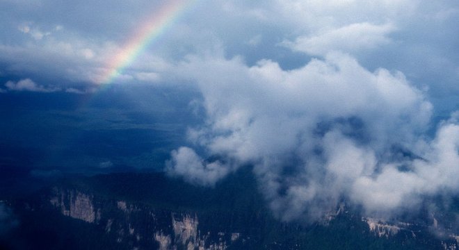 As árvores gigantes ficam numa região remota, de difícil acesso, o que as protege de madeireiros e incêndios criminosos
