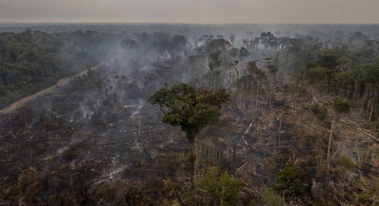 Desmatamento na Amazônia
