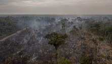Desmatamento na Amazônia pode ter a pior marca em 16 anos, diz ONG